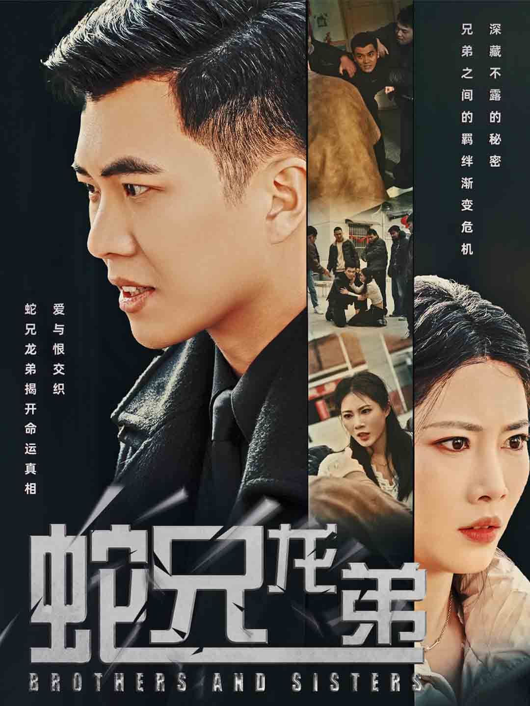 蛇兄龙弟第21-40集